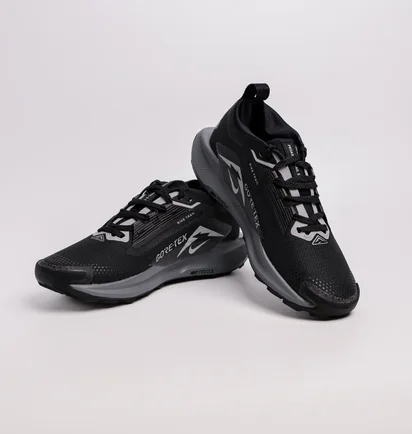 Кросівки жіночі Nike Pegasus Trail 5 Gore-Tex Black FQ0912-001
