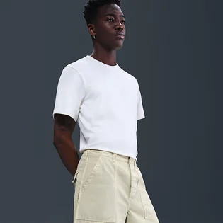 Шорти чоловічі Nike Life Beige HJ2976-229