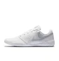 Кросівки жіночі Nike Sideline Iv White 943790-100