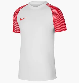 Футболка мужская Nike Dri-Fit Academy White DH8031-100