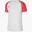 Футболка мужская Nike Dri-Fit Academy White DH8031-100