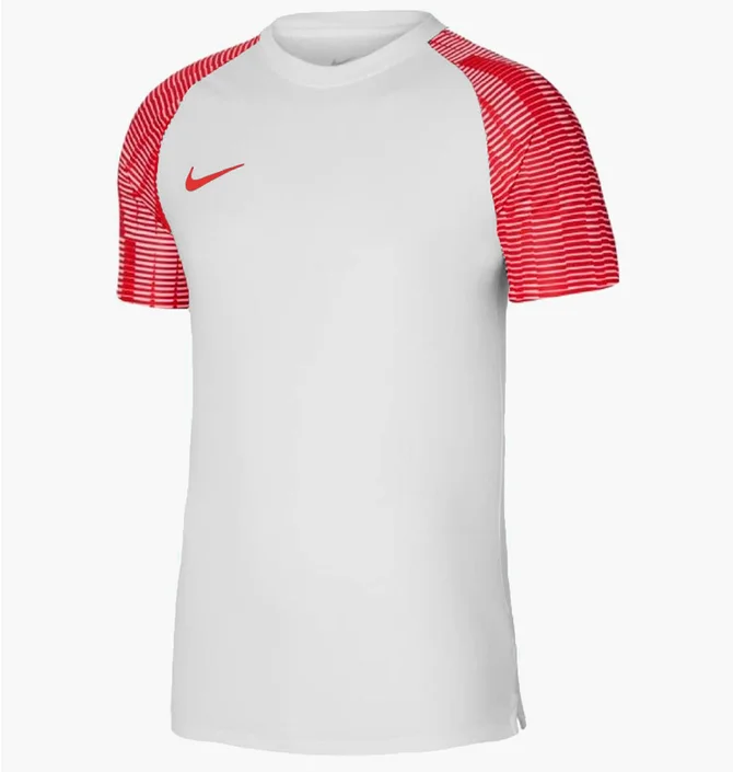 Футболка мужская Nike Dri-Fit Academy White DH8031-100
