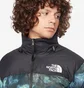 Куртка чоловіча The North Face Printed 1996 Retro Nuptse Jacket Green NF0A5IX4957
