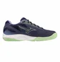 Кроссовки женские Mizuno Cyclone Speed 4 Blue V1GD231011