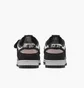 Кроссовки мужские Nike Dunk Low Retro Se Beige/Black IB2990-100