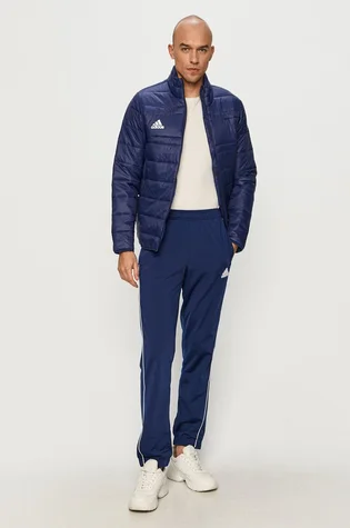 Штаны мужские Adidas Core 18 Pes Pant Blue Cv3585
