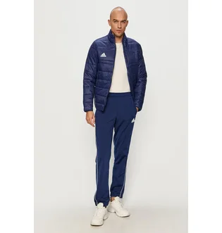 Штаны мужские Adidas Core 18 Pes Pant Blue Cv3585
