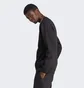 Свитшот мужской Adidas All Szn Fleece Graphic Sweatshirt Black IC9824