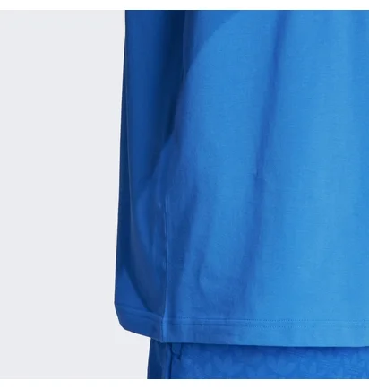 Футболка чоловіча Adidas Graphics Monogram Tee Blue IL5138