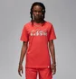 Футболка мужская Air Jordan Essential Rings Tee Orange FN5966-604