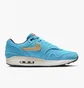 Кроссовки мужские Nike Air Max 1 Premium Light Blue FB8915-400