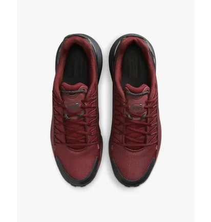 Кросівки чоловічі Nike Air Max Pulse Roam Bordo/Brown DZ3544-600