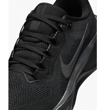 Кроссовки женские Nike Pegasus 41 Black FD2723-001