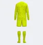 Спортивний костюм чоловічий Joma Set Zamora Ix Amarillo Yellow 103730.998
