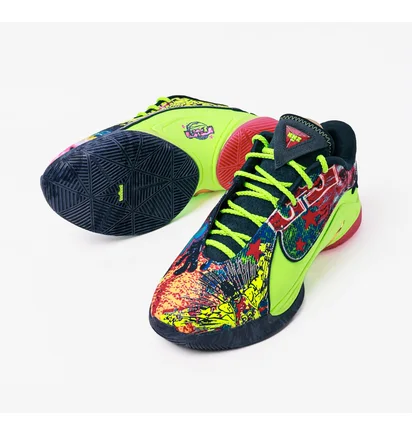 Кроссовки мужские Nike Lebron Xxii Bw Multi HV8451-400