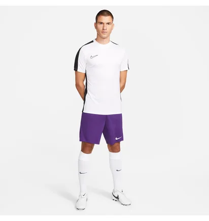 Шорти чоловічі Nike Shorts Dri-Fit Park 3 Violet BV6855-547