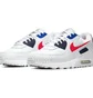 Кросівки чоловічі Nike Air Max 90 White CW7574-100