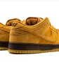Кросівки унісекс Nike Dunk Low Pro Orange BQ6817-204