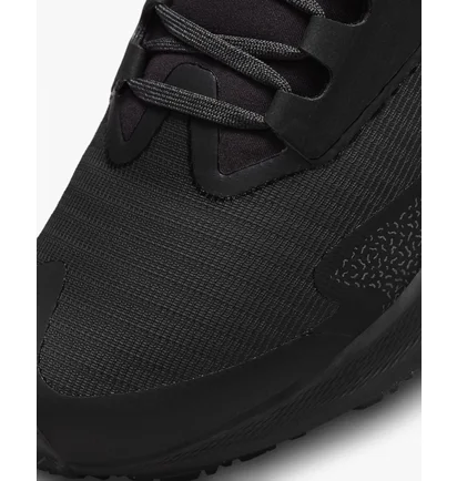 Кросівки жіночі Nike Air Zoom Pegasus 39 Shield Black Do7626-001
