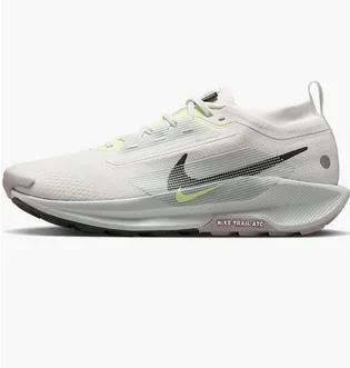 Кроссовки мужские Nike Pegasus Trail 5 Gtx White FQ0908-102