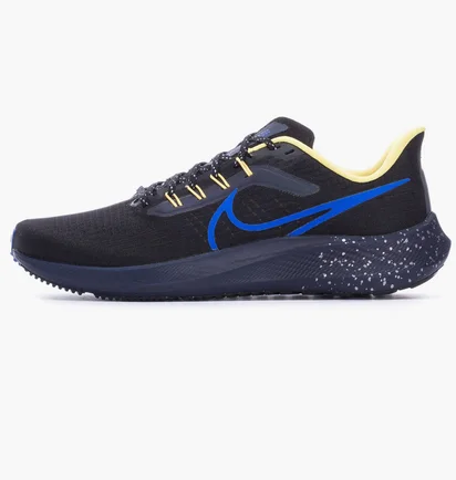 Кроссовки мужские Nike Air Zoom Pegasus 39 Black DZ4846-001