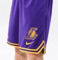 Шорты мужские Nike Lal M Nk Df Dna Short Team Nba Violet DH9175-504