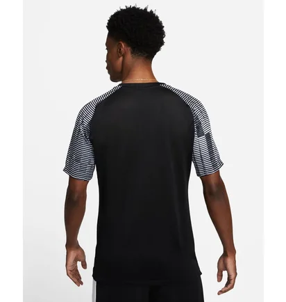 Футболка мужская Nike Dri-Fit Academy Black Dh8031-010