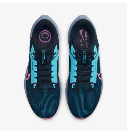 Кросівки чоловічі Nike Pegasus 40 Se Blue FB7180-001