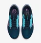Кросівки чоловічі Nike Pegasus 40 Se Blue FB7180-001