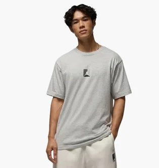 Футболка мужская Air Jordan Brooklyn Grey HQ8942-050