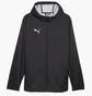 Вітровка чоловіча Puma Teamfinal Allwetterjacke F03 Black 658599-03