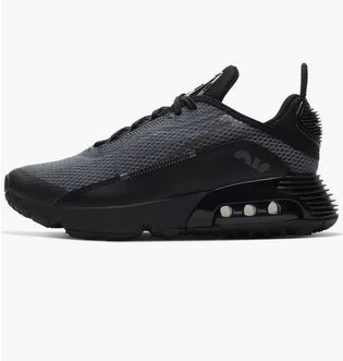 Кросівки дитячі Nike Air Max 2090 Black CJ4066-001