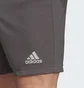 Шорты мужские Adidas Entrada 22 Shorts Grey H57505