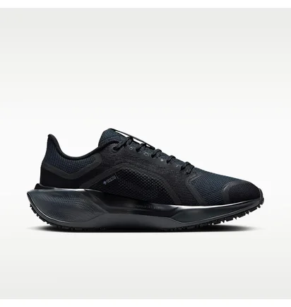 Кросівки чоловічі Nike Pegasus 41 Gore-Tex Waterproof Road Running Black FQ1357-001