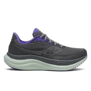 Кроссовки женские Saucony Triumph 23 Gtx Grey S11025-01
