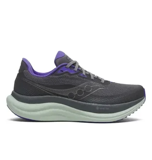 Кроссовки женские Saucony Triumph 23 Gtx Grey S11025-01