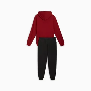 Спортивный костюм мужской Puma Squad Hooded Tracksuit Bordo/Black 681901-13