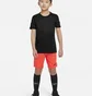 Шорти дитячі Nike Park Iii Pink Bv6865-635