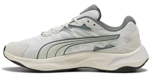 Кроссовки унисекс Puma Insphere Grey 404715-07
