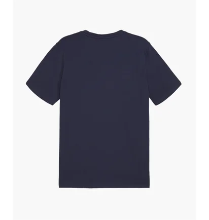 Футболка мужская Puma Teamgoal Casuals T-Shirt F06 Blue 658615-06
