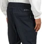 Штаны мужские Columbia Tech Wind Blue 2095673012