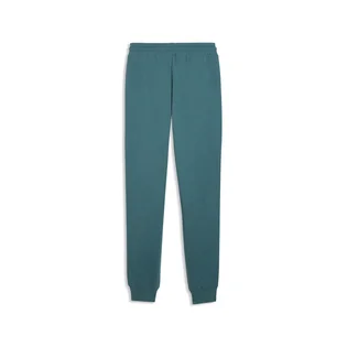 Штаны мужские Puma Ess Elevated Turquoise 692055-41