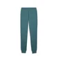 Штаны мужские Puma Ess Elevated Turquoise 692055-41