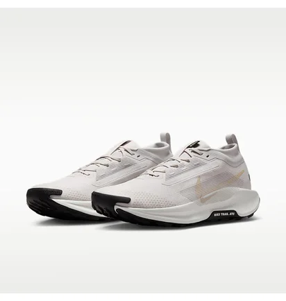 Кросівки чоловічі Nike Pegasus Trail 5 Beige FQ0908-010