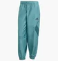 Штаны мужские Adidas Stadium Turquoise JX5609