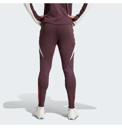 Штаны мужские Adidas Fc Bayern Tiro 24 Training Bordo IS9939
