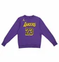 Свитшот мужской Air Jordan Nba Los Angeles Lakers Courtside Statement Edition Violet DN4718-508