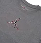 Футболка мужская Air Jordan 23 Swoosh Tee Grey CZ8378-091