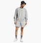 Свитшот мужской Reebok Classics Brand Proud Grey Hs6846