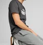 Штаны мужские Puma No. 1 Logo Grey 682608-03